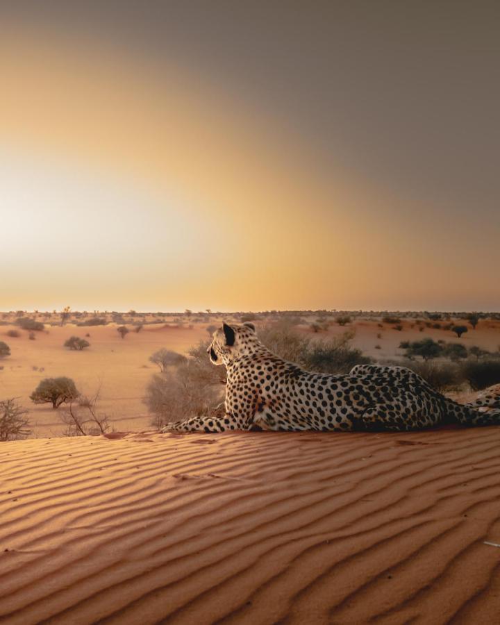 Vila Bagatelle Kalahari Game Ranch Hardap Exteriér fotografie