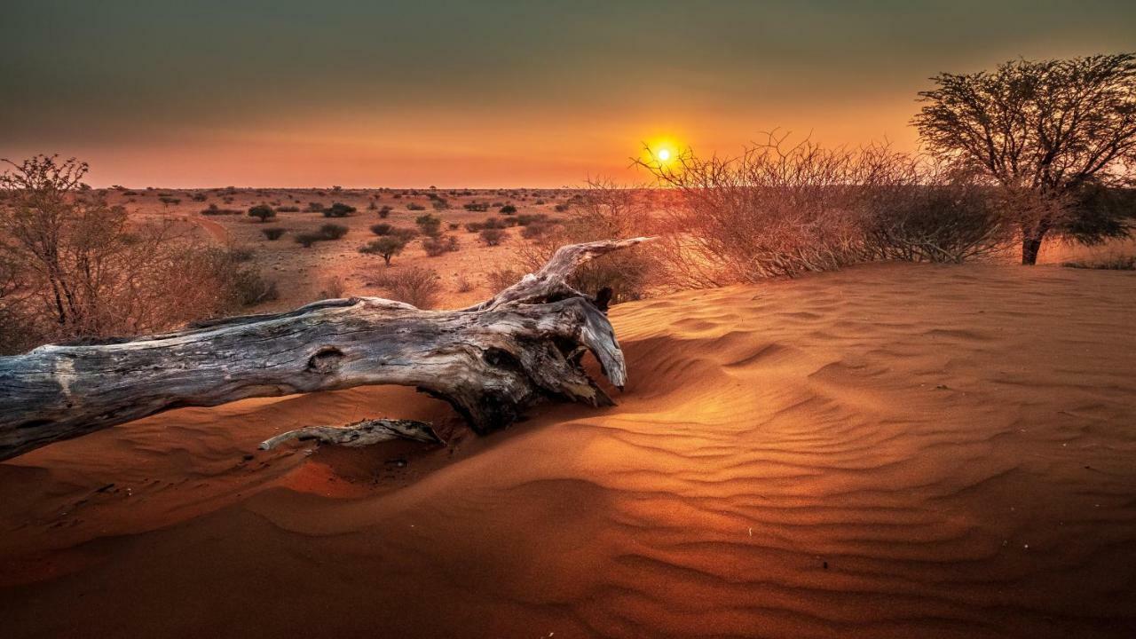 Vila Bagatelle Kalahari Game Ranch Hardap Exteriér fotografie