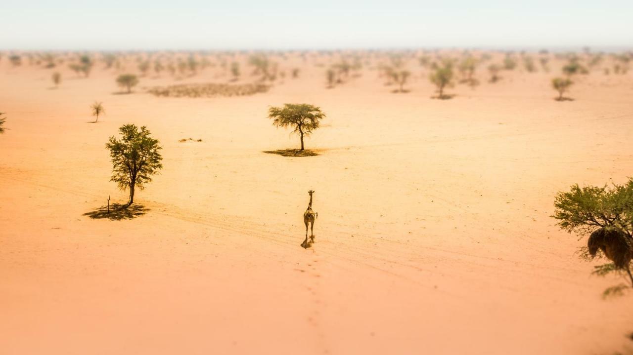 Vila Bagatelle Kalahari Game Ranch Hardap Exteriér fotografie