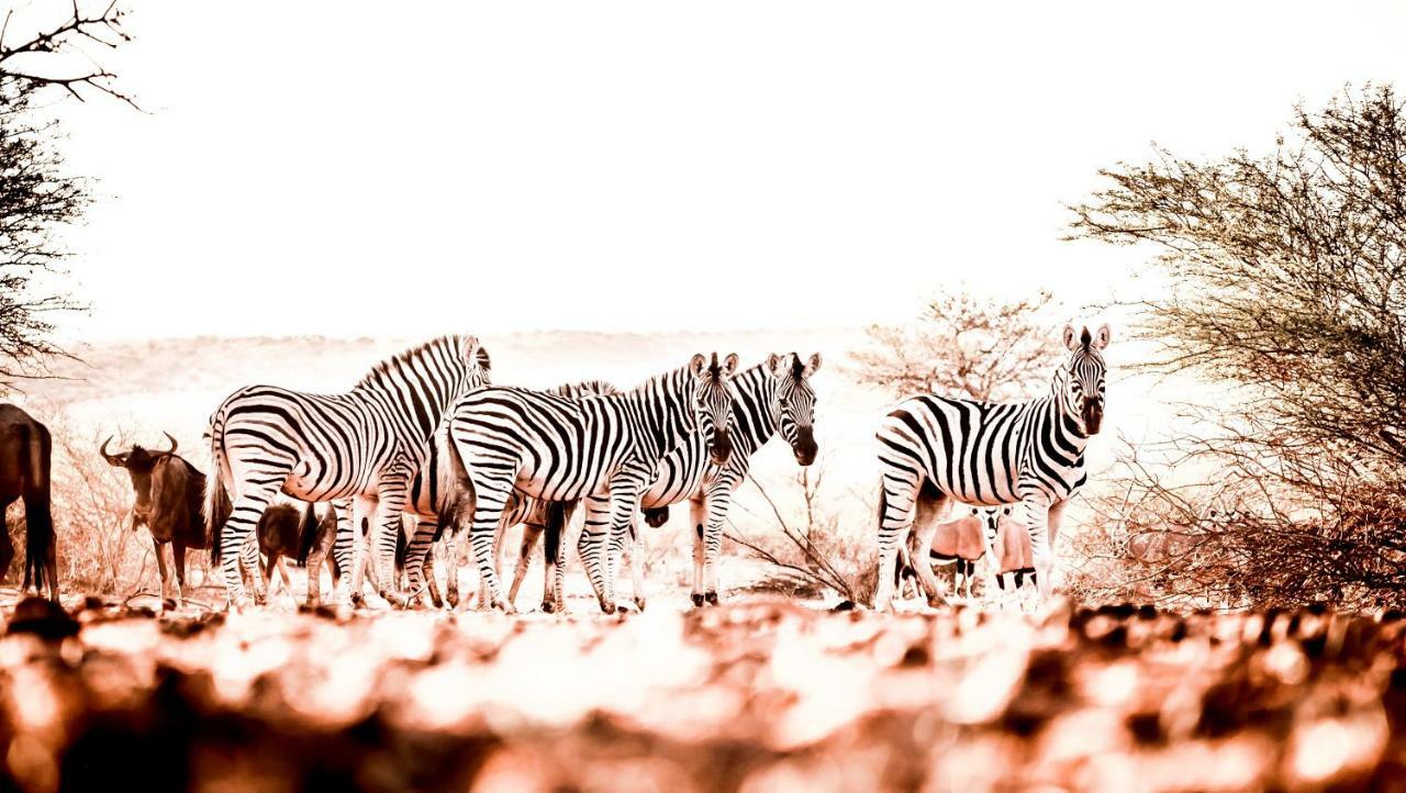 Vila Bagatelle Kalahari Game Ranch Hardap Exteriér fotografie