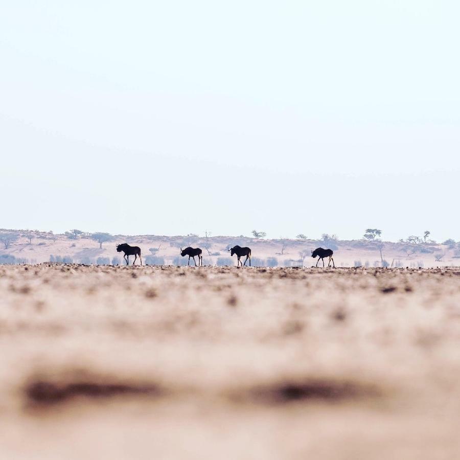 Vila Bagatelle Kalahari Game Ranch Hardap Exteriér fotografie
