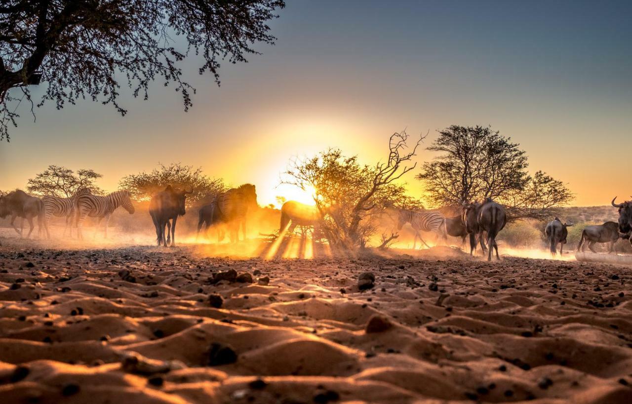 Vila Bagatelle Kalahari Game Ranch Hardap Exteriér fotografie