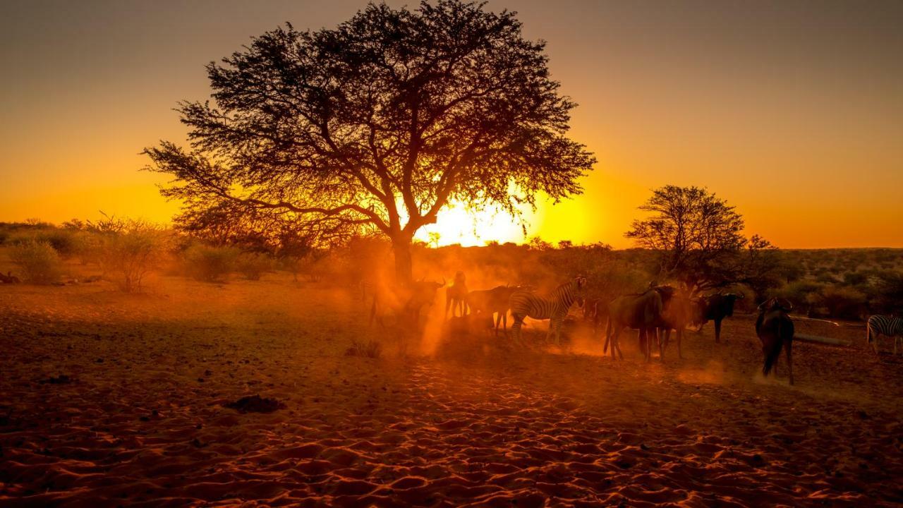 Vila Bagatelle Kalahari Game Ranch Hardap Exteriér fotografie