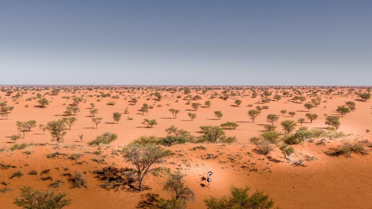 Vila Bagatelle Kalahari Game Ranch Hardap Exteriér fotografie